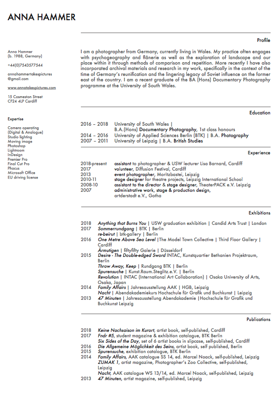 CV – Anna Hammer